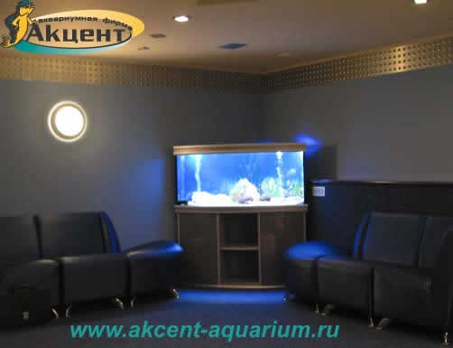 Акцент-аквариум,аквариум угловой 240 литров с гнутым передним стеклом